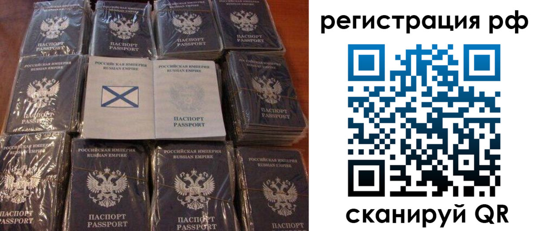найти адрес прописки в Димитровграде